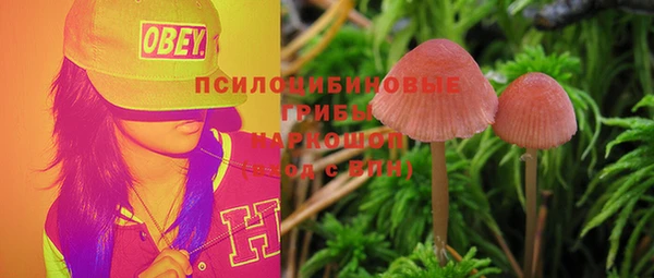гидра Покров