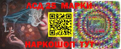 гидропоника Канаш