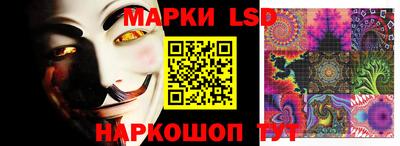 гидропоника Канаш