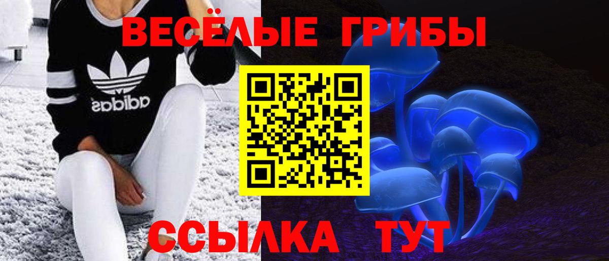 Галлюциногенные грибы ЛСД  Вход с VPN  Советск  Галлюциногенные грибы Cubensis 